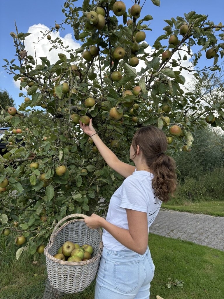 huisje met hottub huren 
