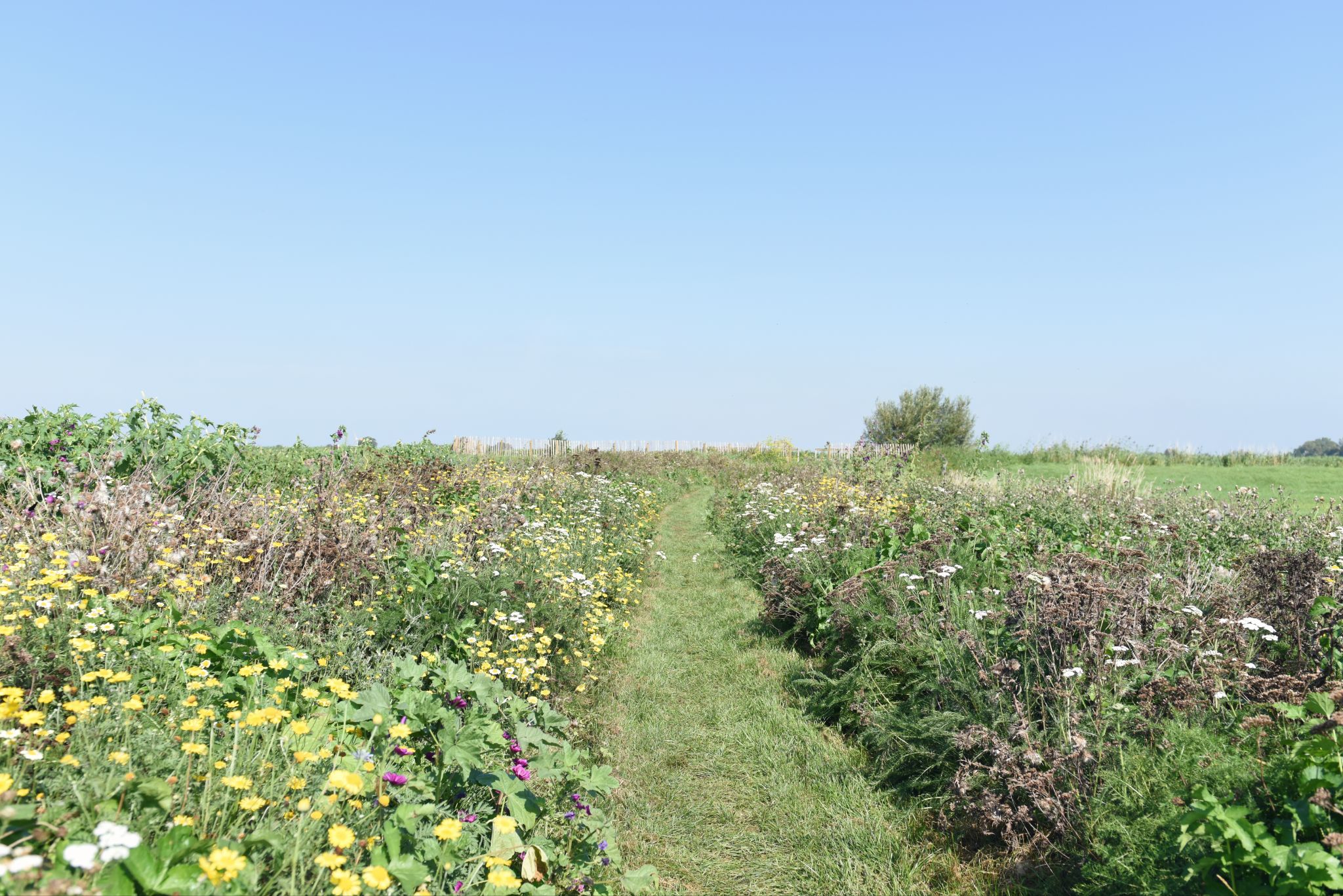 Voorjaar in Friesland! Ontdek het buitenleven rondom Smûk…