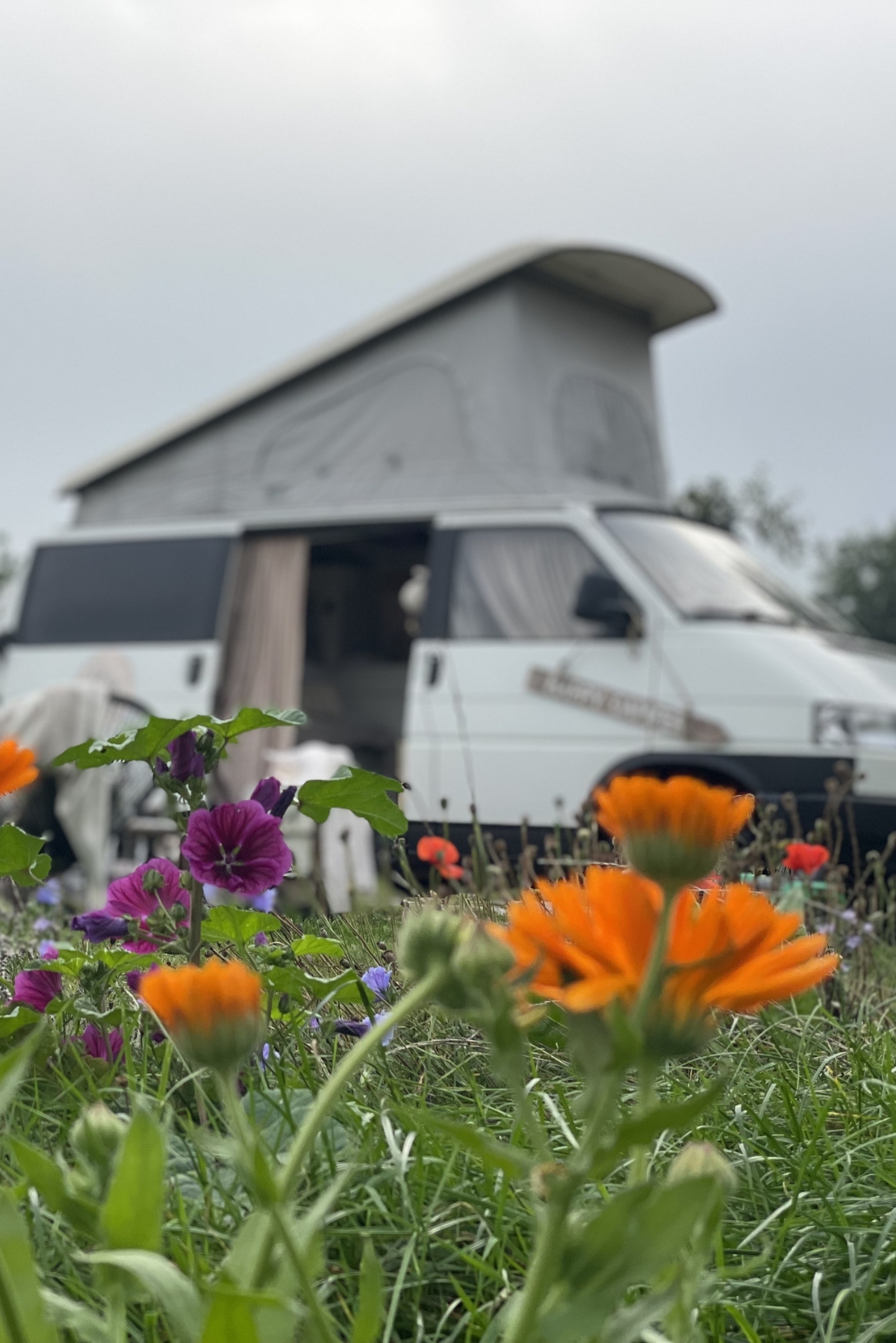 Camper tussen bloemen op Camping Smuk