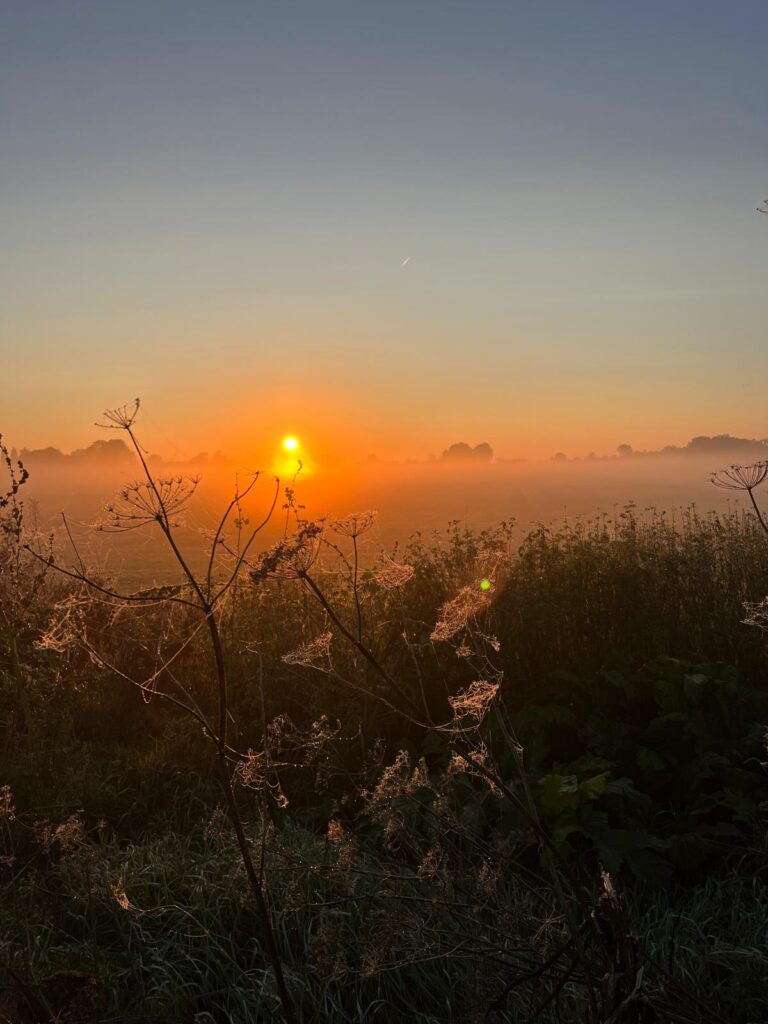 c6e96208 d463 46d7 a847 cfa359f51e68