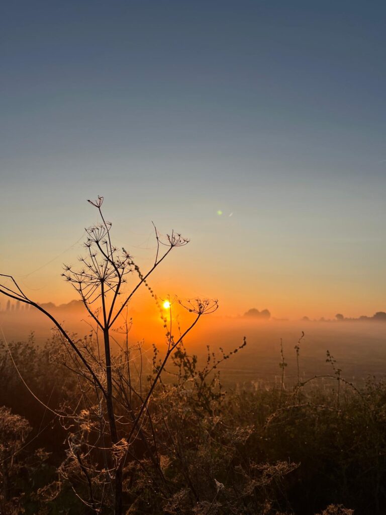 efa8b881 f2f3 4539 acd9 07106a57bab1